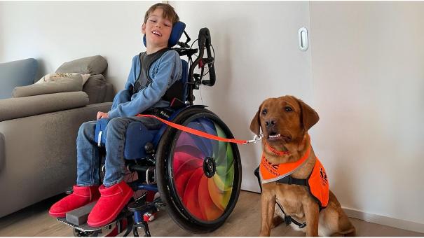 
		Noam and assistance dog Thea
	